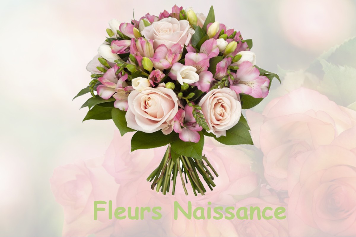 fleurs naissance CORNEBARRIEU