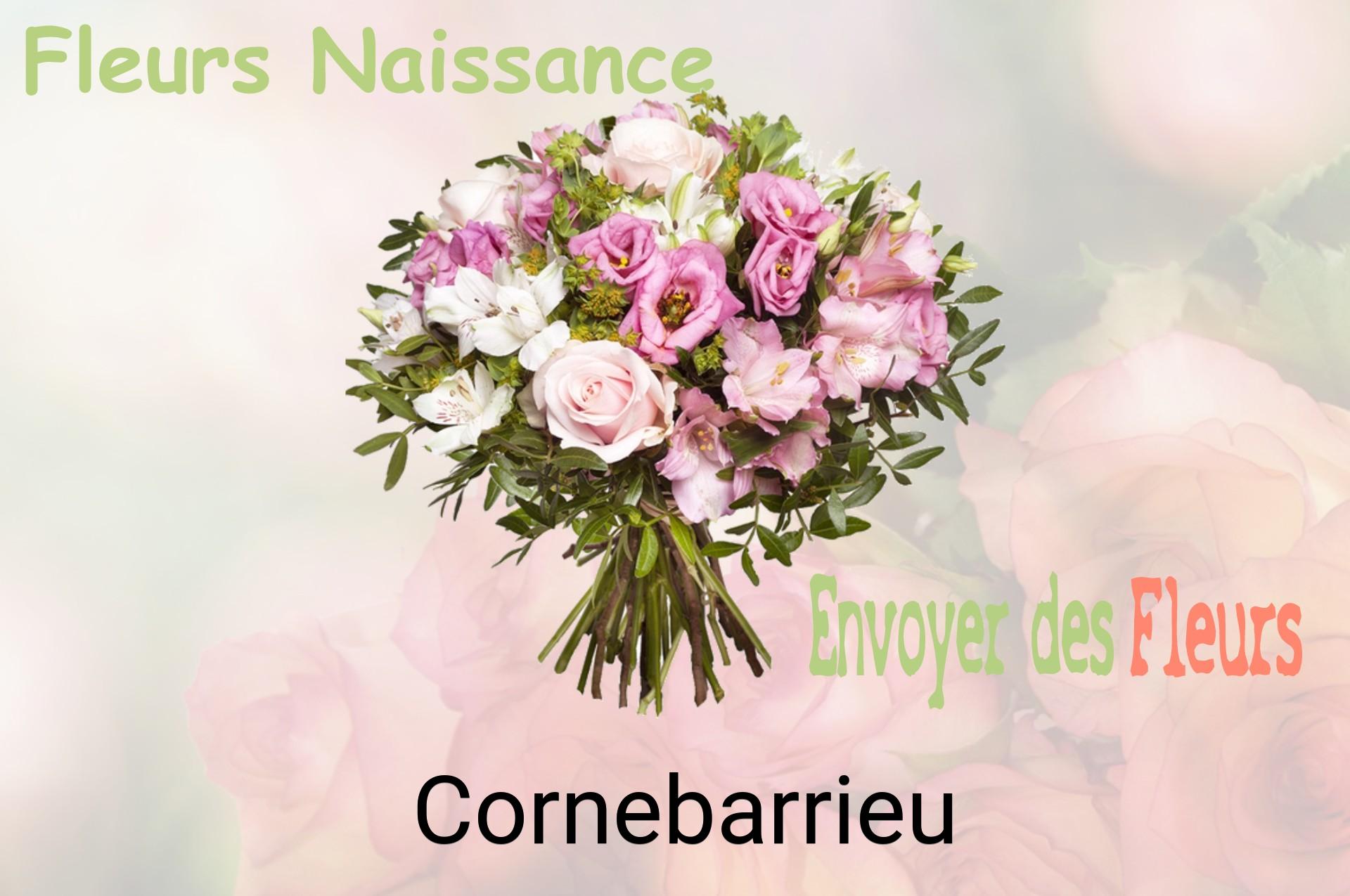 Bouquet de fleurs de naissance livré à Cornebarrieu